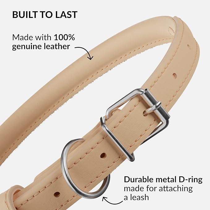 CollarDirect Rolled Leather Dog Collar, Soft Padded Round Puppy Collar, Handmade Genuine Leather Collar Dog Small Large Cat Collars 13 Colors (11-14 Inch, Beige Smooth)