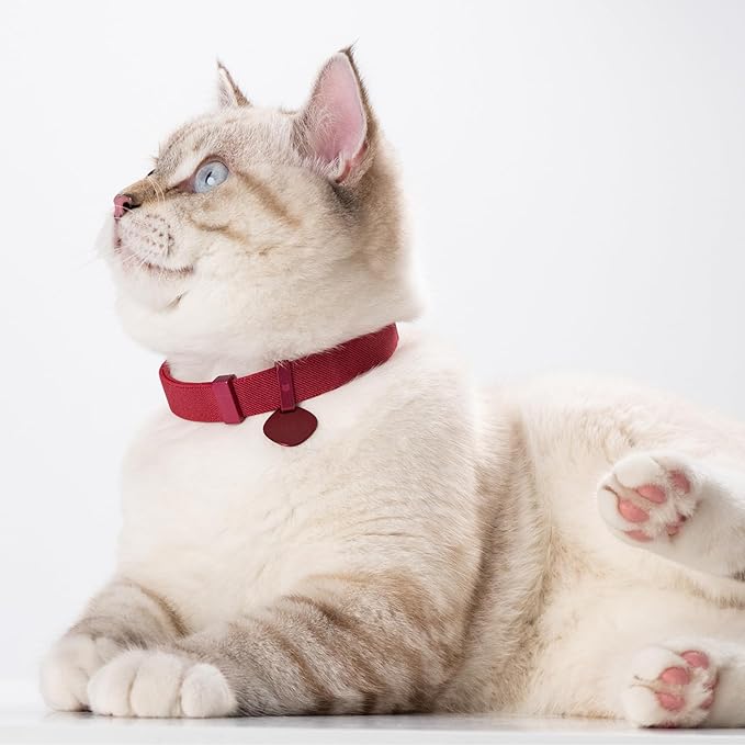 Safety Cat Collar Pro and Tag Set - U.S. IDA Gold Award, Elastic Release Cat Collar Charm Tag, Non Breakaway Cat Collar Adjustable with Charm for Kitten Small Large Cats (Blush Pink, M)