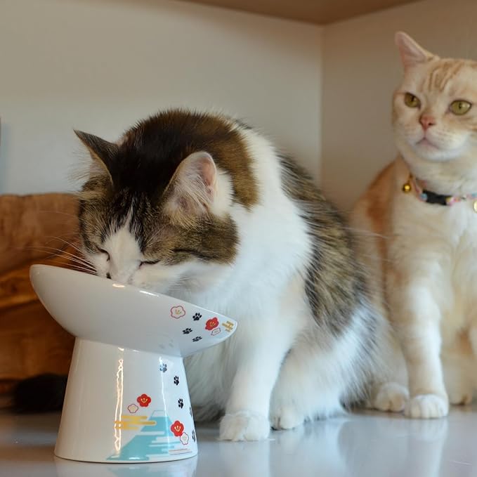 Necoichi Extra Wide Raised Cat Food Bowl, Elevated, Prevent Neck & Whisker Fatigue, Dishwasher and Microwave Safe, No.1 Seller in Japan! (Fuji, Extra Wide Tilted)