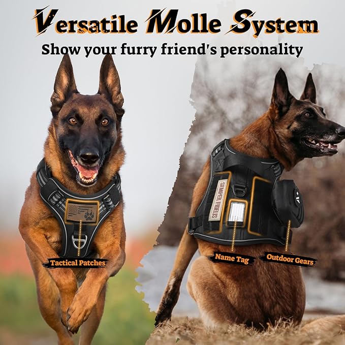 rabbitgoo Dog Harness Medium Sized No Pull, Tactical Service Pet Vest with Molle and Control Handle, Adjustable and Reflective Military Harness for Easy Walking and Training, Black, M