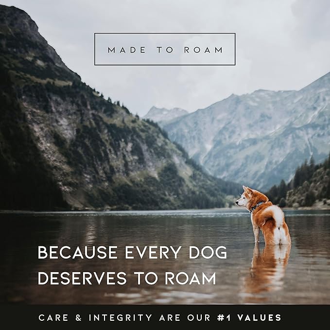 MADE TO ROAM Premium Explorer Harness - Y-Shaped Dog Harness with Adjustable Durable Nylon, Soft Padding, Metal Buckles and Leather Handle for Small, Medium, Large Dogs (Utah Glow, Size 4)