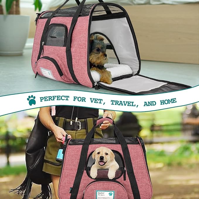 PetAmi Airline Approved Pet Carrier for Cat, Soft Sided Dog Carrier Small Dog, Cat Travel Supply Accessories Indoor Cats, Ventilated Pet Carrying Bag Medium Large Kitten Puppy, Small Heather White Red