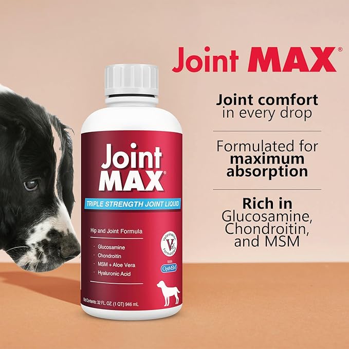 Liquid for Dogs - Vitamins, Minerals, Antioxidants - Glucosamine, Chondroitin - Beef Flavor - Maximum Joint Health Supplement for Dogs - 32 fl oz