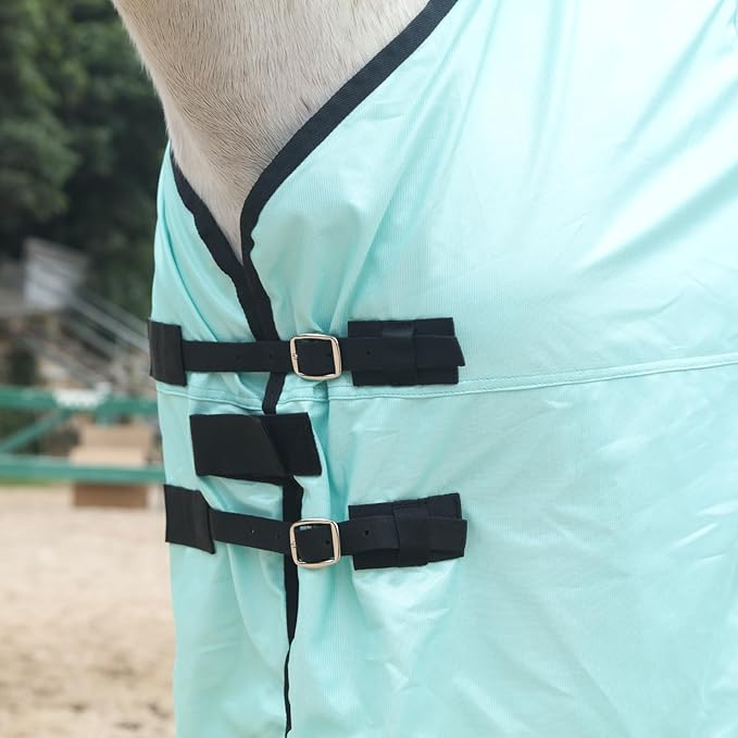 Horse Fly Sheet, Standard Neck Comfy Mesh Fly Sheet for Horses, Equine Summer Sheets UV-Protective Green 81
