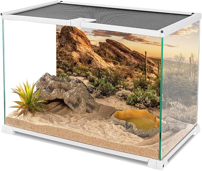 AWERT Reptile Habitat Background Blue Sky Oasis Cactus Sun and Desert Terrarium Background 72x16 inches Durable Polyester Background