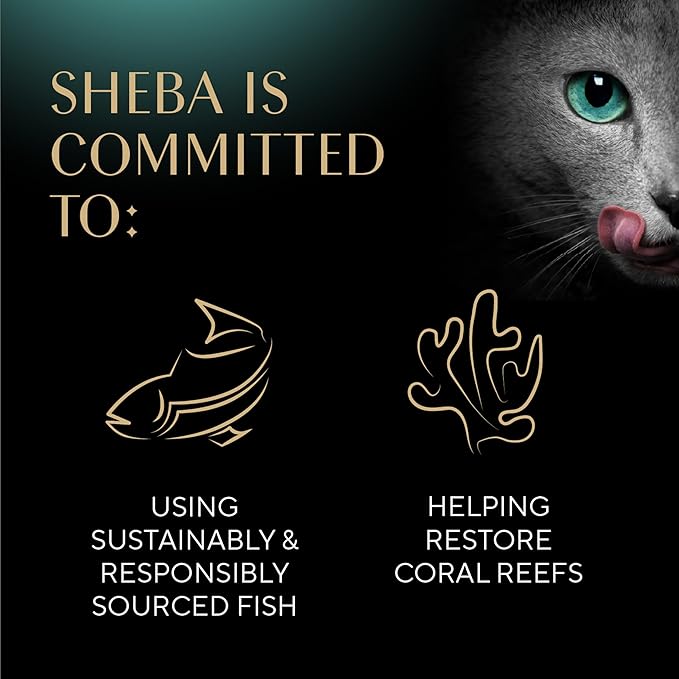 Sheba Gravy Indulgence Adult Wet Cat Food Beef Entree in Extra Gravy, 2.6 oz. Twin-Pack Trays (24 Count, 48 Servings)