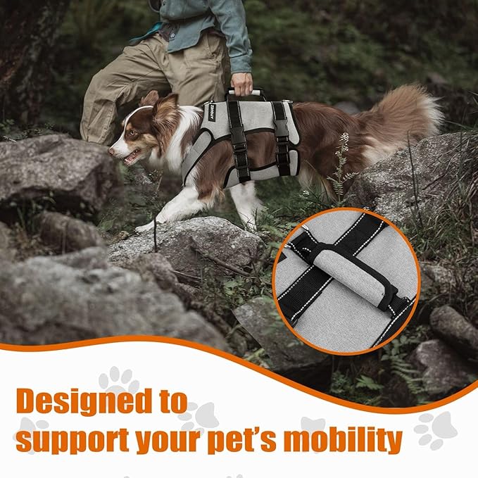 Ayquez Dog Lift Harness with Storage and Transport Bag, Dog Harness with Handle for Lifting & Hip dysplasia, arnés para Perros pequeños, pechera para Perros Gray, S