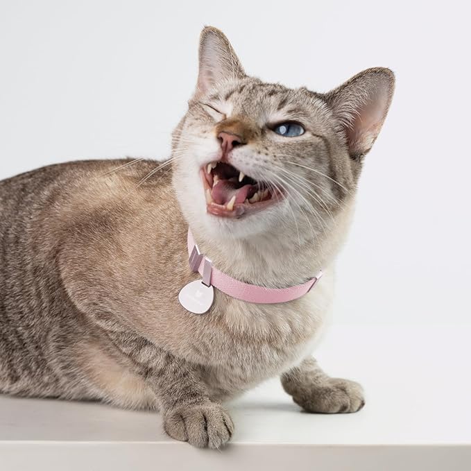 Safety Cat Collar Pro, Lightweight Elastic Release Non Breakaway Cat Collar Adjustable with Snap Fastener for Kitten All Small Large Cats, US IDA Gold Award (Burgundy, M 7.9-15.7")