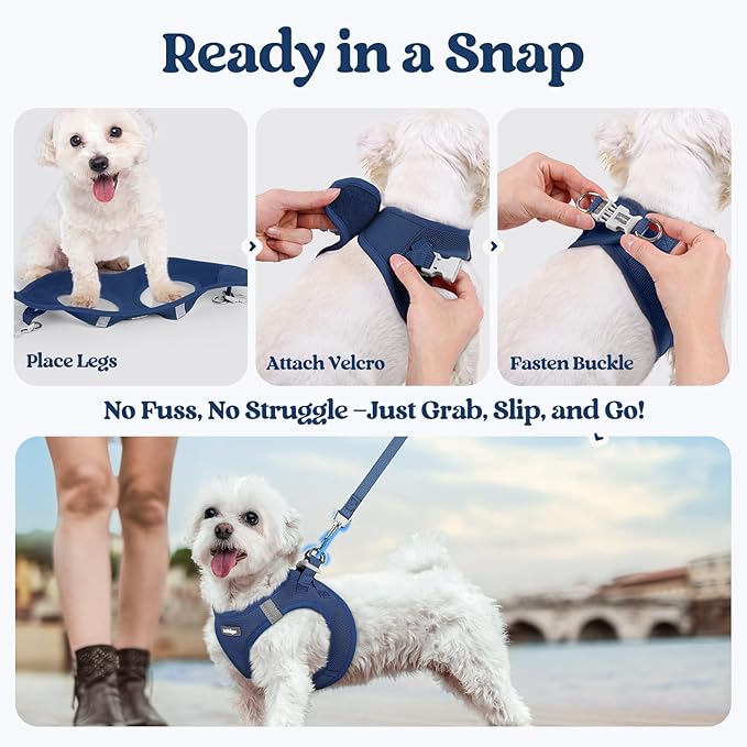rabbitgoo Dog Harness Small Sized and Leash Set, Step in Soft Light Puppy Vest, Breathable Mesh Pet Harness, Reflective for Outdoor Safe Walking, Navy Blue XXXS