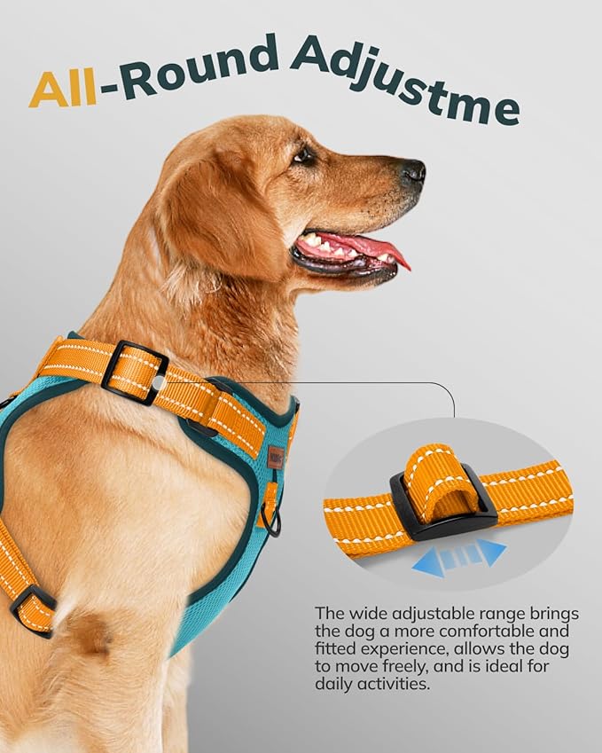 MIDOG No-Pull Dog Harness | Adjustable & Reflective Pet Harness Leash Set for Small Medium Large Dogs Walking, Training| No Choke, Front Clip, Soft Padded Vest with Easy Control Handle - Blue, L