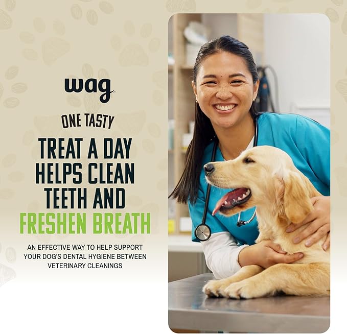 Amazon Brand - Wag Dental Chews - Green Dental Brush for Dogs, Large, Unflavored, 24 Count (Pack of 1)