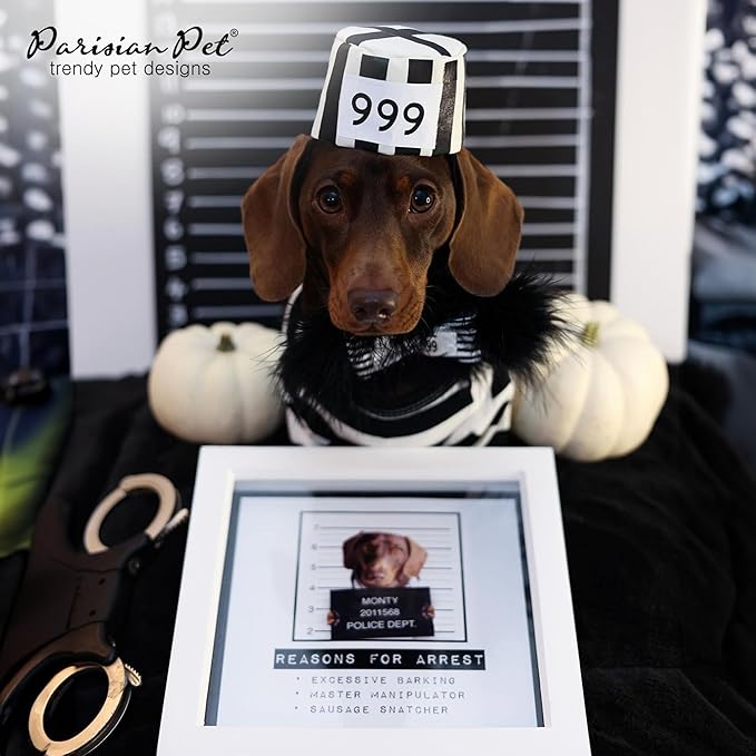 Parisian Pet XL Dog Shirt - Lightweight, Sleeved Black & White Stripes for Large Dogs - 100% Cotton & Polyester - Prisoner Dog Costume