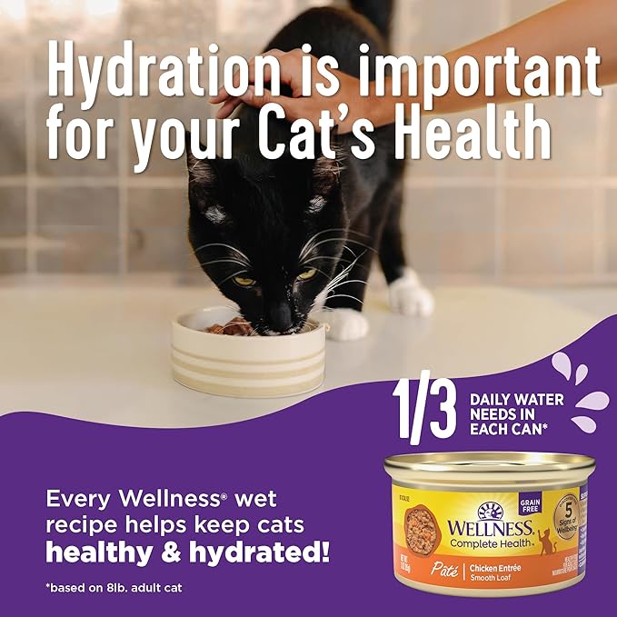Wellness Complete Health Gravy & Minced Adult Wet Cat Food, Natural, Protein-Rich, Grain-Free, 3 Ounce, 24 Pack, (Chicken & Turkey Lovers Variety Pack)