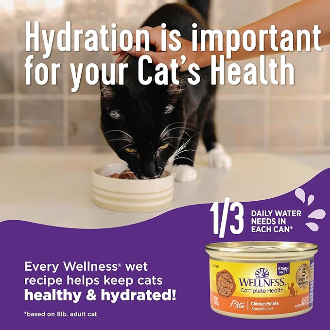 Wellness Complete Health Pate Adult Wet Cat Food, Natural, Protein-Rich, Grain Free, 5.5 Ounce, 24 Pack, (Beef & Chicken)
