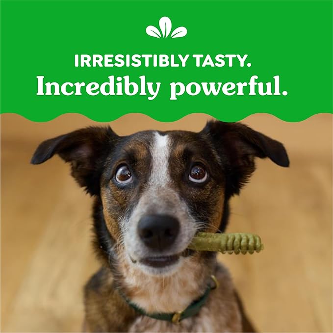 Greenies Regular Dental Dog Treats, 3-Flavor Variety Pack, (3) 12 oz. Pouches, 36 Total Treats