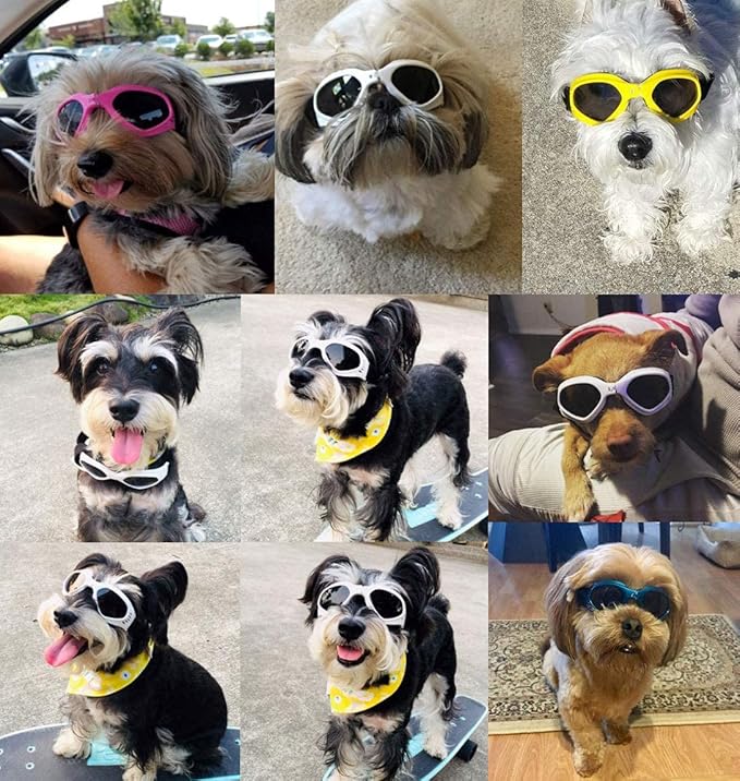 LECONPET Small Dog Sunglasses Waterproof Windproof UV Protection Pet Sunglasses Dog Goggles for Doggy Puppy Cat (Black)