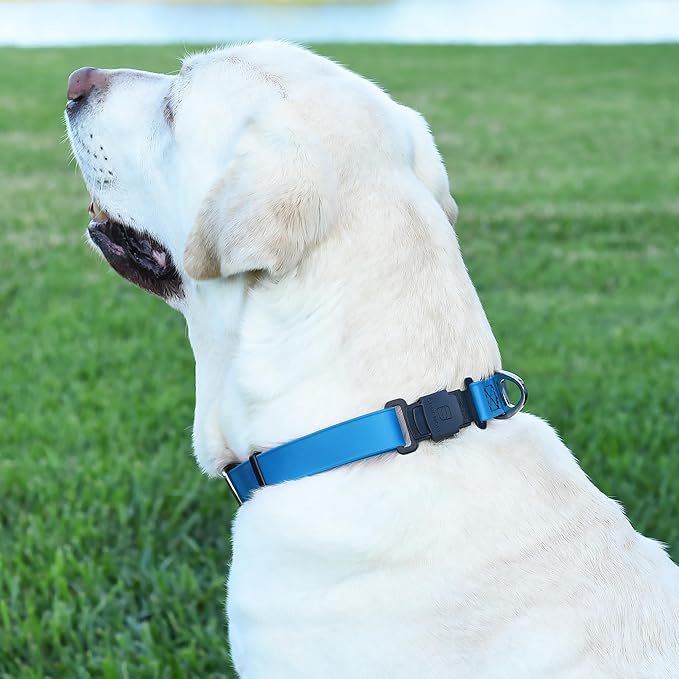 Dogline Biothane Waterproof Dog Collar with Herm Sprenger Stainless Steel Quick Release Buckle – Heavy Duty Tactical Durable Collar for Dogs – Comfortable and Safe Pet Collar, W 3/4" L 12-19", Blue