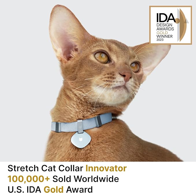 Safety Cat Collar and ID Tag Set - Elastic Quick Release Non Breakaway Personalized Anodized Aluminum Engraved Pet Name Tag, Lightweight for Kitten Small Large Cats