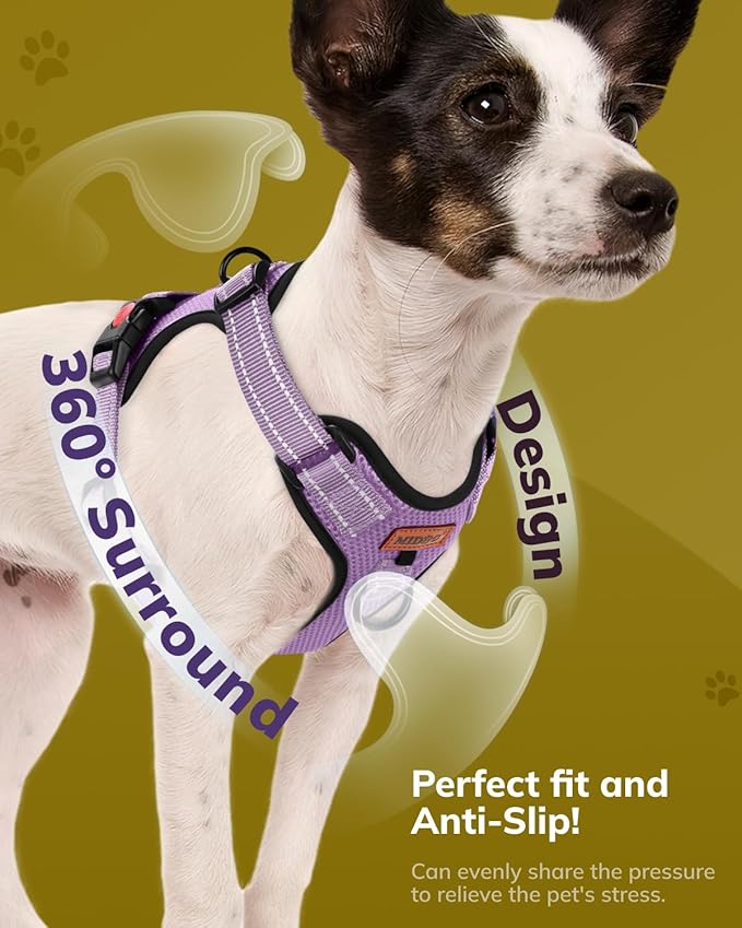 MIDOG No-Pull Dog Harness | Adjustable & Reflective Pet Harness Leash Set for Small Medium Large Dogs Walking, Training| No Choke, Front Clip, Soft Padded Vest with Easy Control Handle - Purple, S