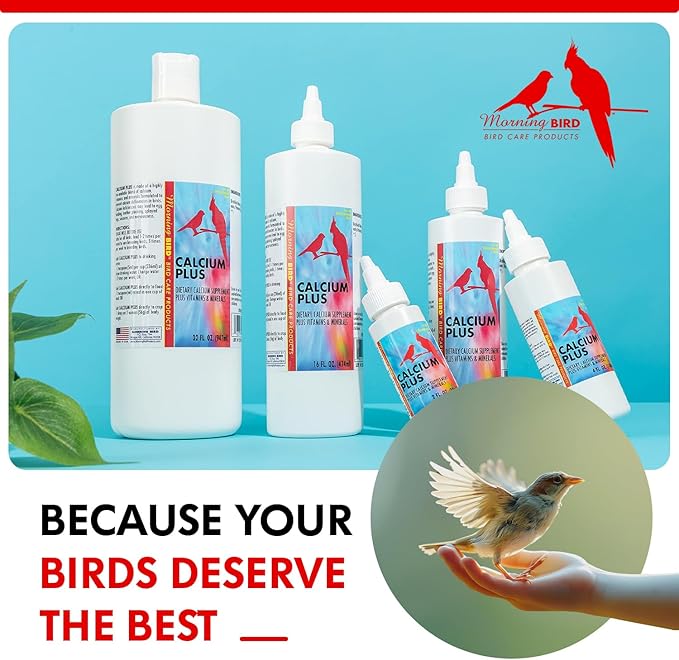 Morning Bird Calcium Plus Liquid Supplement for Birds - Liquid Calcium Formula with Magnesium and Vitamin D3 Calcium Supplement for All Birds – 4 Fl Oz