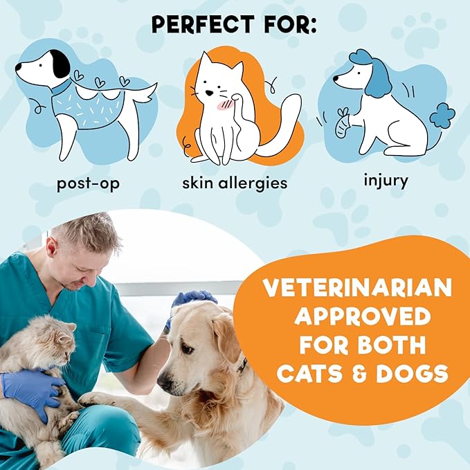 BENCMATE Inflatable Dog Cone Collar Alternative, Soft Dog Cone for Small Medium Large Dogs and Cats, Neck Recovery ECollar Donut Collar After Surgery (Large+, Blue)
