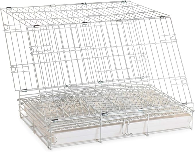 Pet Products Metal Portable Travel Vet Bird Parrot Carrier Cage Prevent Beaks Out White, 19-Inch by 12-Inch by 16-Inch