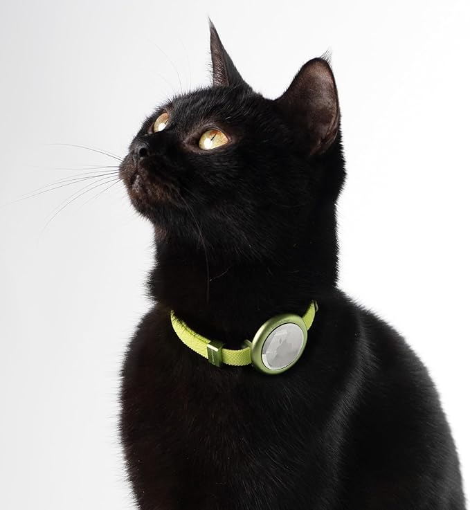 Safety Cat Collar Pro - U.S. IDA Gold Awarding Design, Elastic Quick Release Cat Collar with Buckle Non Breakaway - Lightweight for Kitten All Small Large Cats (Blush Pink, M 7.9-15.7")
