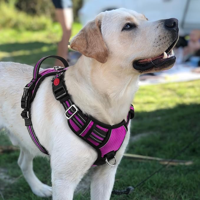 rabbitgoo Dog Harness for Large Dogs, No Pull Pet Vest with 3 Buckles, Adjustable Soft Padded Pet Harness with Easy Control Handle and Reflective Strips, Purple, L