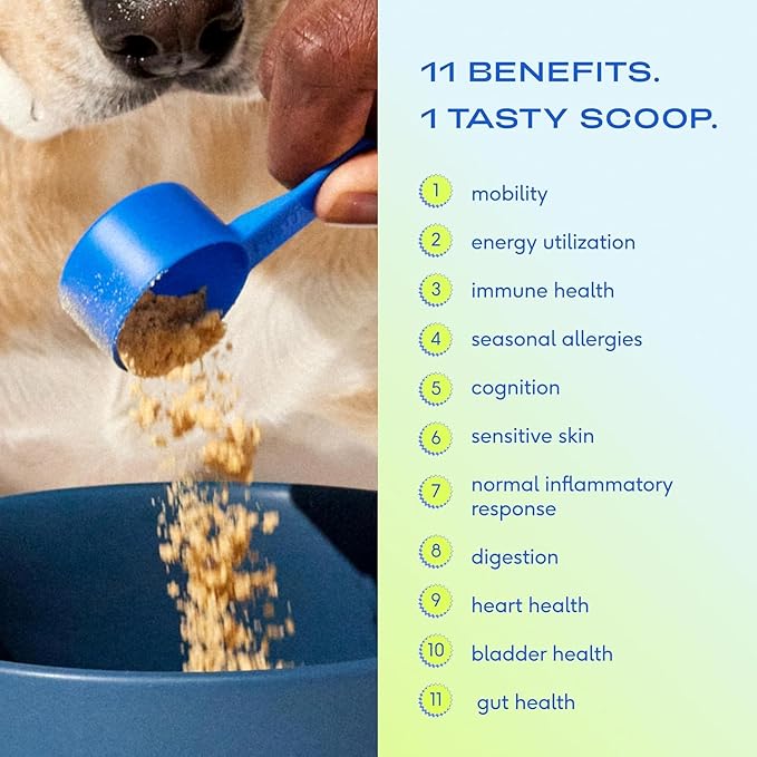 Native Pet Pack Leaders Bundle - Daily Dog Multivitamin (7 oz.) & Omega Oil for Dogs (8 oz.) - Omega 3 Fish Oil for Healthy Skin, Shiny Coat, & Strong Joints & Daily Multivitamin for Dogs