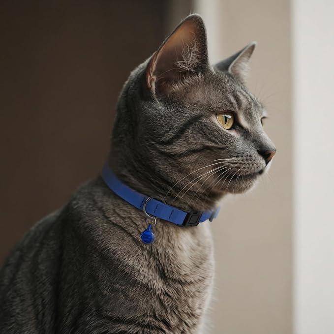 Breakaway Cat Collar Leather with Removable Bell - 13 Colors Available - Soft Adjustable Girl Boy Safety Lightweight Pet Kitten Collars Pink Brown Blue Green Red Orange Black (Black)