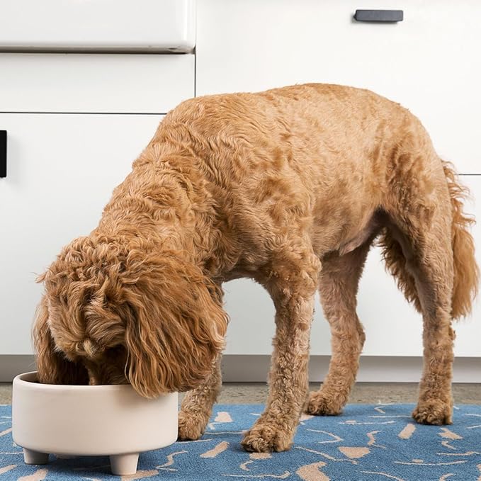 Waggo Uplift Ceramic Dog Bowl for Small Medium and Large Breeds - Heavyweight and Durable Pet Food and Water Dish Crock, Dishwasher Safe, Modern, Elevated Feeder (Vintage Grey, Small)