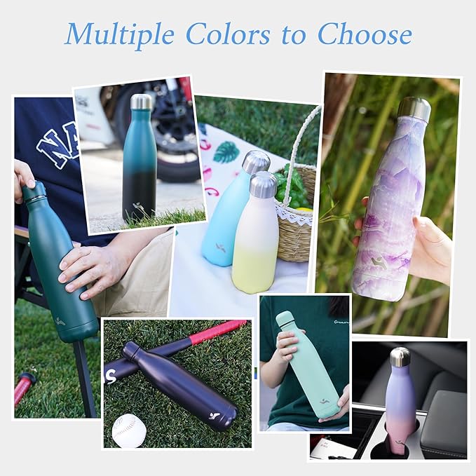 Insulated Water Bottles,17 oz Double Wall Stainless Steel Vacumm Metal Flask for Sports Travel,Ocean Dream