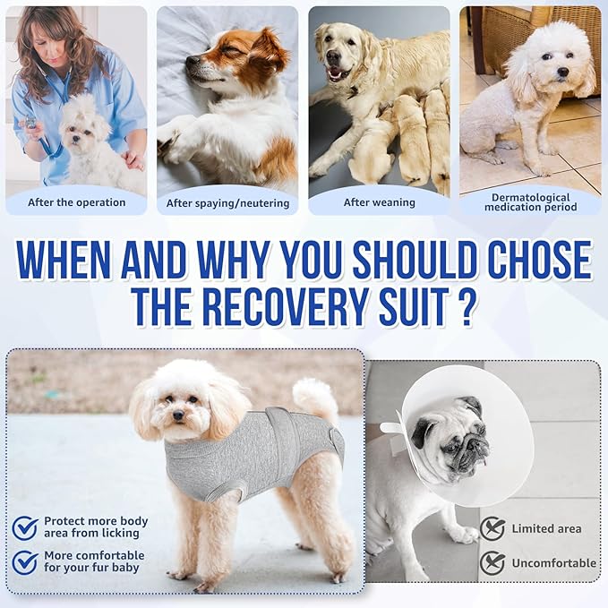 Lukovee Recovery Suit for Dogs, Zipper On Recovery Suit for Female Male Dog, Onesie Abdominal Wounds Cone E-Collar Alternative Prevent Licking Spay Recovery Suit (M,GY)