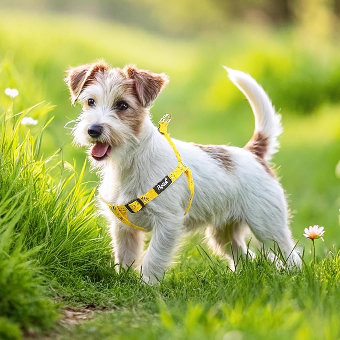 PUPTECK No Pull Dog Harness Soft Adjustable Basic Nylon Step in Puppy Vest Outdoor Walking with ID Tag, Yellow Bee, S