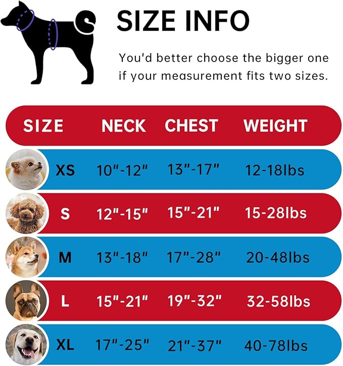 IVY&LANE No Pull Dog Harness with Leash Set, Reflective No Choke Pet Vest,Adjustable Oxford Dog Vest Harness with Easy Control Handle for Large Dogs (Checkered Red,L)