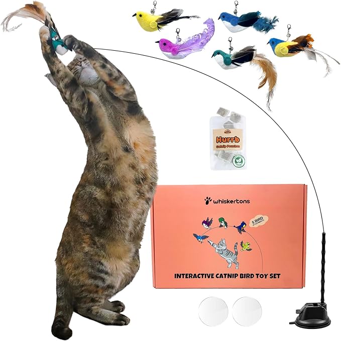Interactive Catnip Bird Toy Set, Interactive Cat Toys for Indoor Cats, Cat Feather Toy, Self-Holding Suction Base, 5 Birds, Catnip Pouches, Feathers & Bells, Realistic Bird Impression