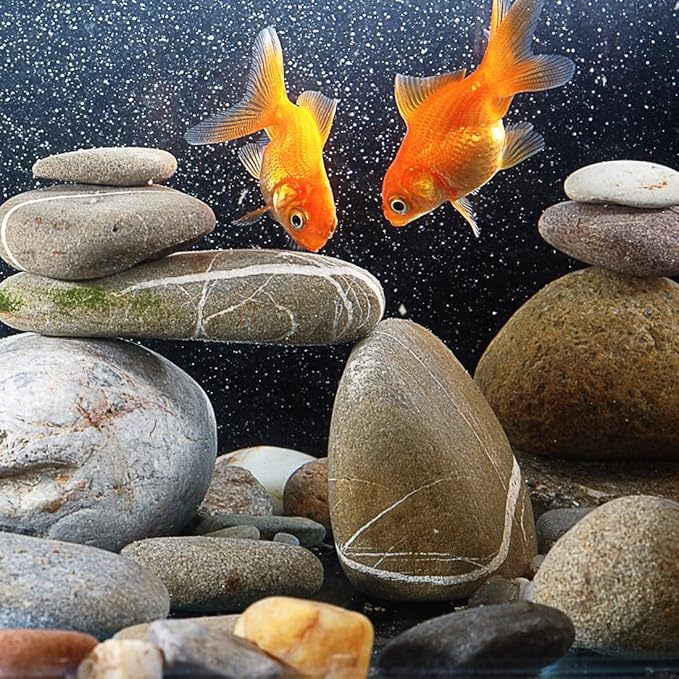 20lbs Natural River Rocks, 1"-2" Premium Pebbles for Garden and Landscape Design, Hand-Picked Smooth Stones for Fish Tank, Flower Pots, Indoor Water Fountains, Pathways, Backyard