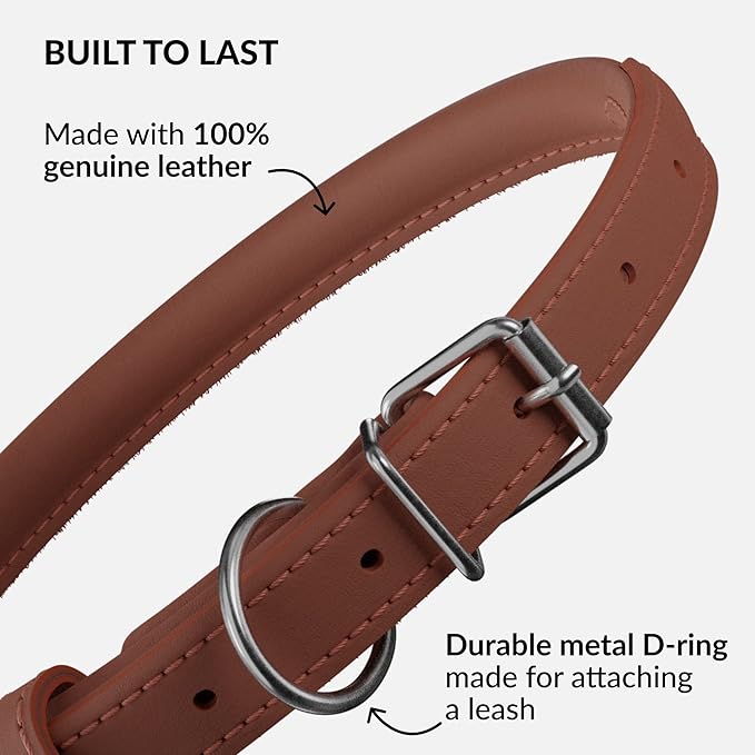 CollarDirect Rolled Leather Dog Collar, Soft Padded Round Puppy Collar, Handmade Genuine Leather Collar Dog Small Large Cat Collars 13 Colors (13-16 Inch, Cinnamon Smooth)