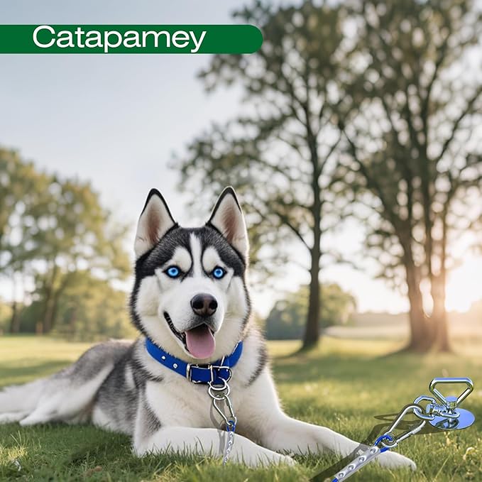Dog Tie Out Cable and Stake,(up to 200lbs) 360° Swivel Dog Run Anchor -with 30FT Heavy Duty Cable,Runner for Yard-Dog Stake for Yard Outdoor Camping