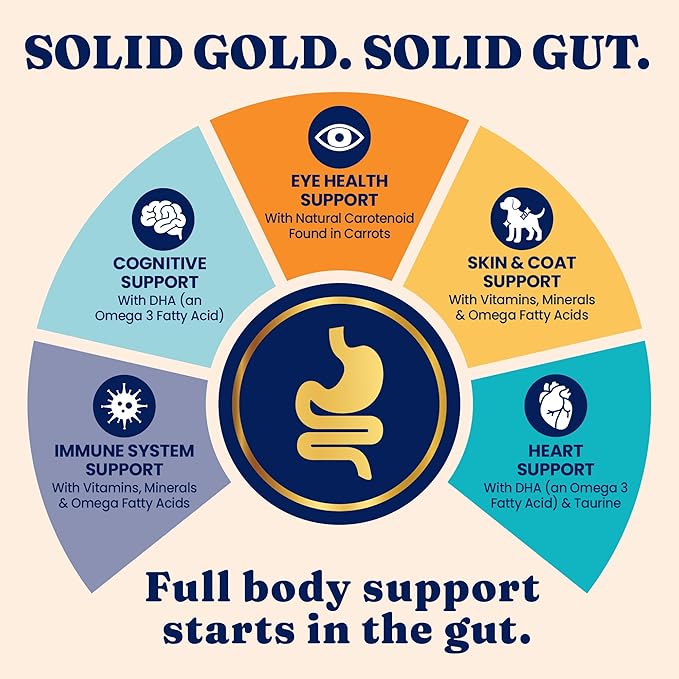 Solid Gold Indoor Dry Cat Food - Grain Free & Gluten Free - Chicken Cat Food Dry Kibble for Indoor Cats w/Probiotics & Fiber for Gut Health - Sensitive Stomach & Hairball Support for Adult Cats - 6LB