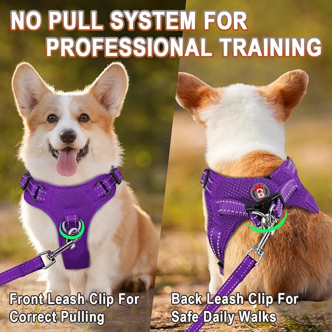 Dog Harness Step in Dog Vest Harness, Reflective Adjustable Puppy No Pull Harness Breathable Soft for Small and Medium Dogs Cats, Purple, S