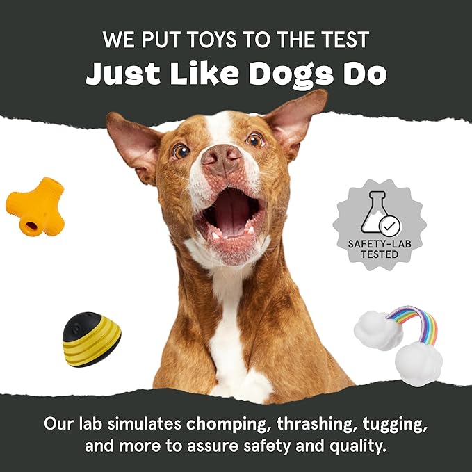 Barkbox Hatch Me If You Can Dog Toy for Medium to Large Aggressive Chewers Two-Layer Tearable Toy with Hidden Surprise Inside for Interactive Playtime