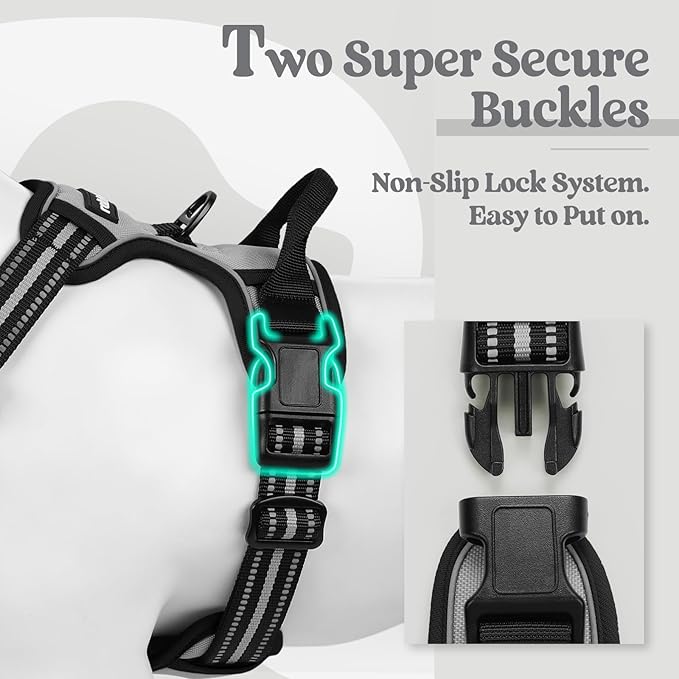 rabbitgoo Dog Harness No Pull with 2 Leash Clips, Adjustable Soft Padded, Reflective Oxford No Choke Pet Vest with Easy Control Handle for Large Dogs, Grey, L
