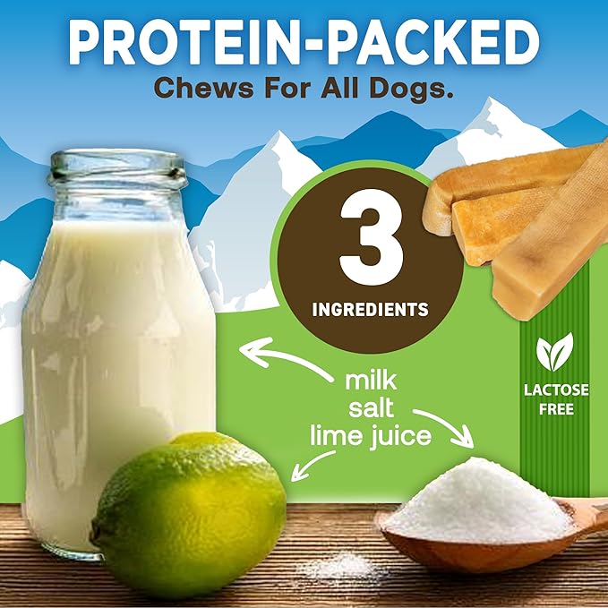 EcoKind Himalayan Gold Yak Cheese Chew for Small Dogs, Healthy Treats, Odorless, Long Lasting Bones, Rawhide Free, Made in The Himalayans, Small (Pack of 4)