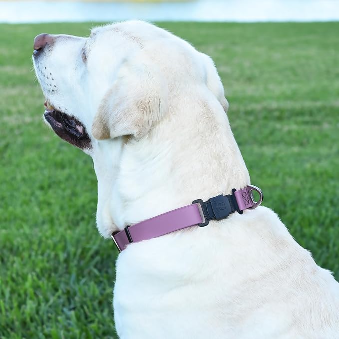 Dogline Biothane Waterproof Dog Collar with Herm Sprenger Black Stainless Steel Quick Release Buckle – Heavy Duty Tactical Durable Collar for Dogs – Comfortable, Safe Pet Collar W3/4" L12-19 Amethyst