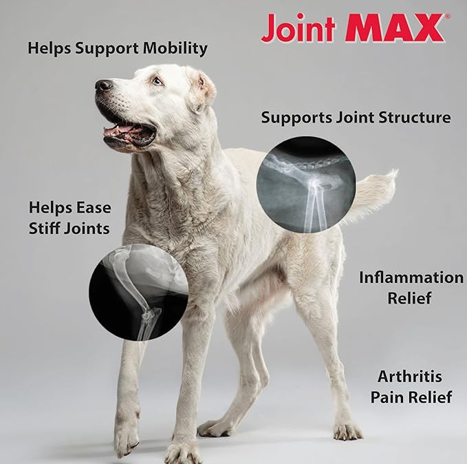 Triple Strength Hypo-Allergenic Soft Chews for Dogs - Hip and Joint Support Supplement with Glucosamine, Chondroitin, & MSM - Made in The USA - 120 Soft Chews