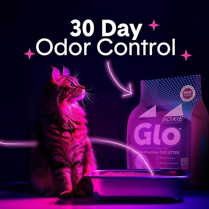 Boxie® Glo™ 30 Day Odor Control Clumping Clay Cat Litter, 40 lb, Multi-Cat, 99.9% Dust-Free, Low Tracking, UV Light Attractant, Superior Clumping for Easy Scooping