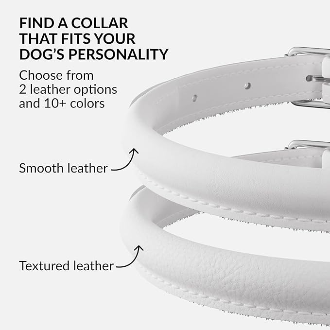 CollarDirect Rolled Leather Dog Collar, Soft Padded Round Puppy Collar, Handmade Genuine Leather Collar Dog Small Large Cat Collars 13 Colors (11-14 Inch, White Smooth)