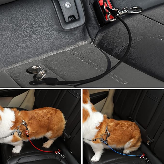 Dog Seat Belt Harness for Car,Dog Seatbelt of Coated Wire Leash Safety Restraint,No Chew Tether Cable Vehicle Dog Accessories,Double Clips & Latch (Black, 32 inch/80 CM)