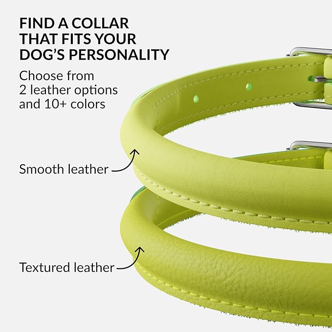 CollarDirect Rolled Leather Dog Collar, Soft Padded Round Puppy Collar, Handmade Genuine Leather Collar Dog Small Large Cat Collars 13 Colors (6-7 Inch, Lime Green Smooth)